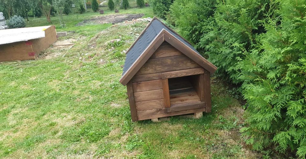 Kurnik/Budy solidne /gołębnik/Gierzwałd/Ostróda /Działdowo!