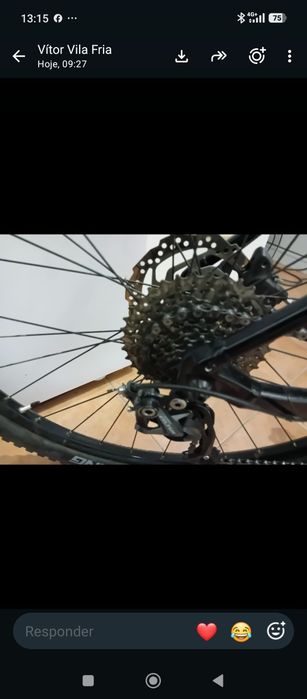 Bicicleta orbea alma