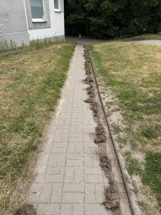 Koszenie trawy i sprzątanie ogrodów