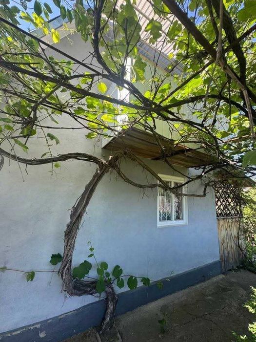 Продаж дачі Шептицький - View 4