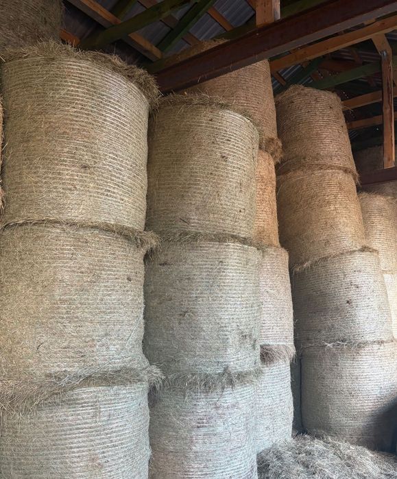 Sprzedam Siano bele suche