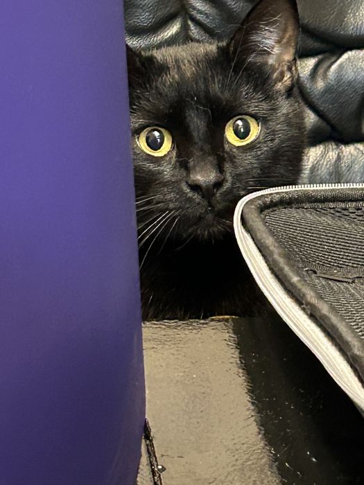 Sony PlayStation 5 Blu-Ray + комплект Max Plus