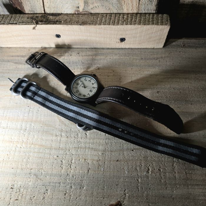 Timex expedition T4619