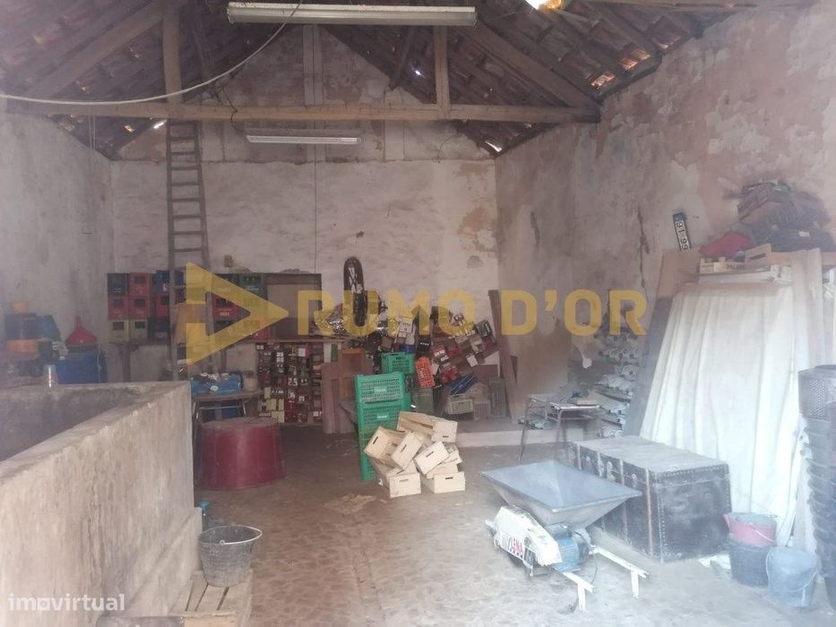 Adega em Mata Pereiro De Palhacana