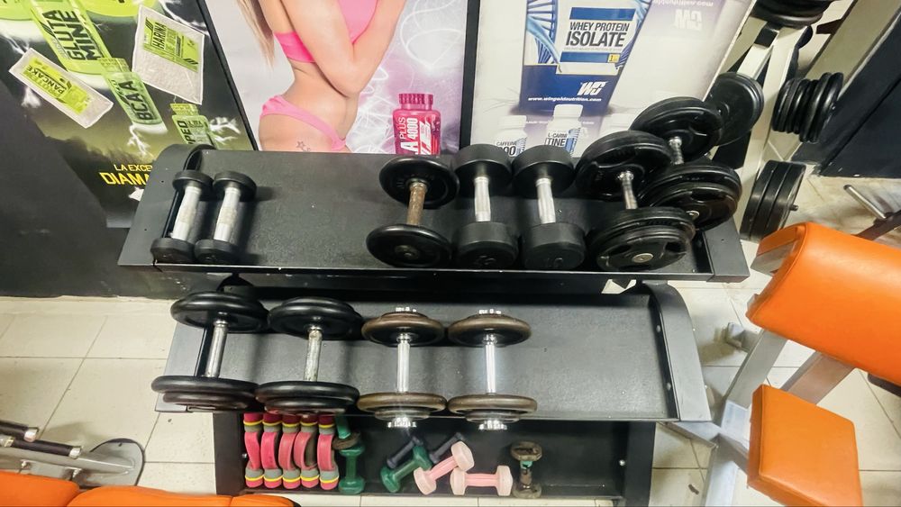 Suporte de Halteres Profissional (Rack 2 Níveis + Arrumação Inferior)