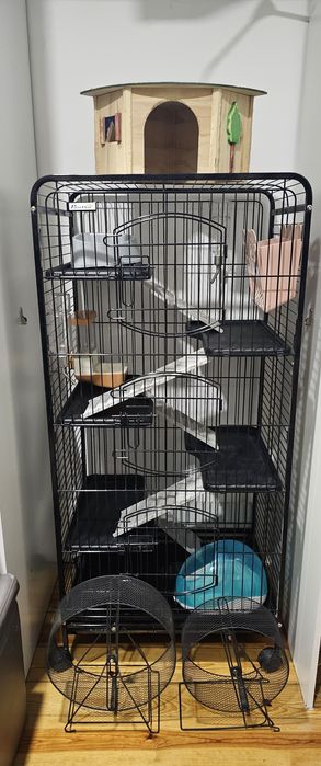 Gaiola Pawhut com mais acessórios