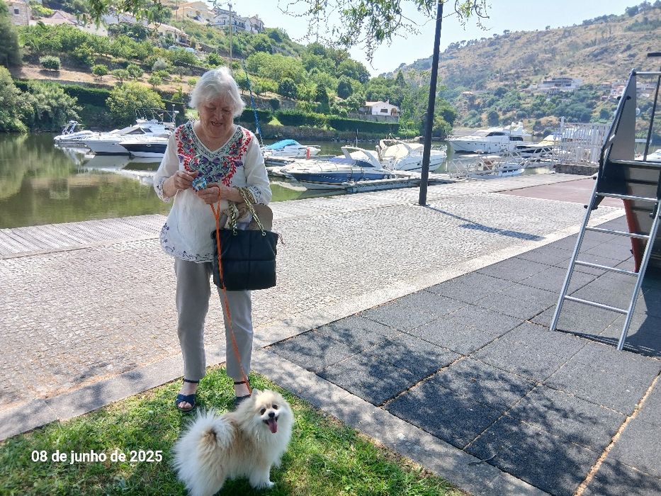 Estadia familiar canina creche
