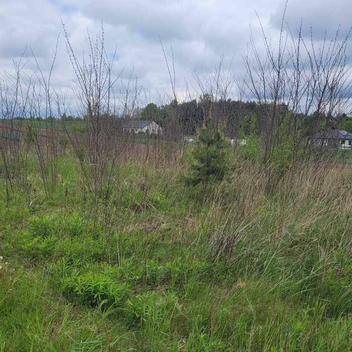 Działka budowlana koło Strykowa, Witanówek
