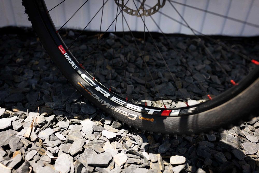 Coluer poison carbono