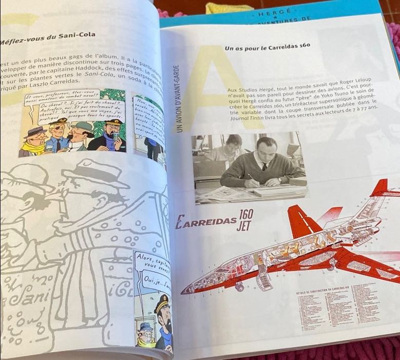 Banda desenhada Tintim 2000