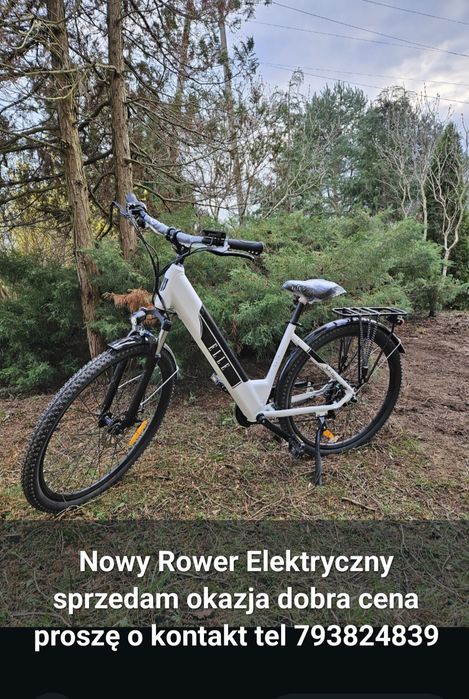 Rower elektryczny