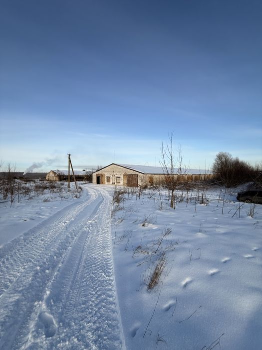 Продам склад, ферма, ангар, приміщення, цех