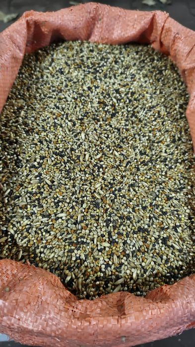 Mieszanka dla gołąbków, przepiórek mewek i innych 20 kg 75 zł