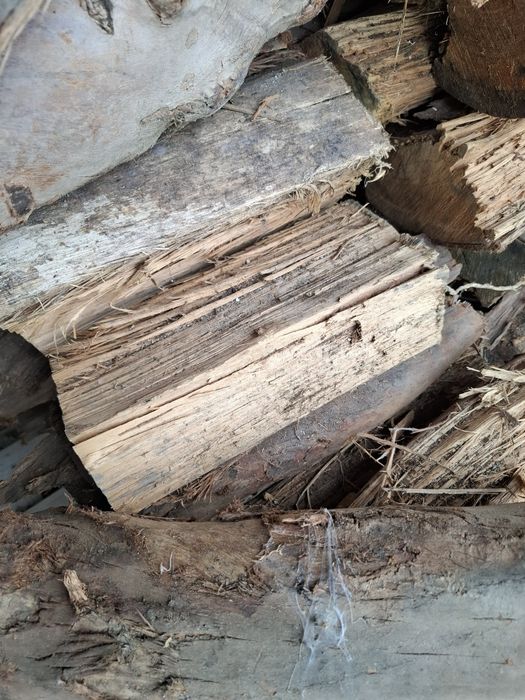 Lenha seca de carvalho