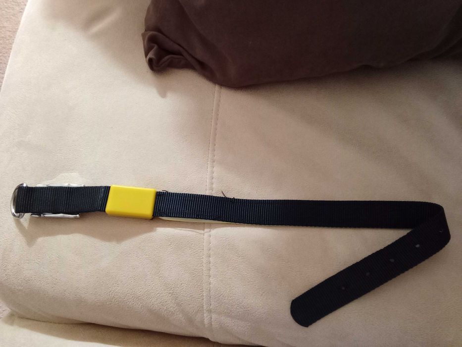 Ошейник светящийся