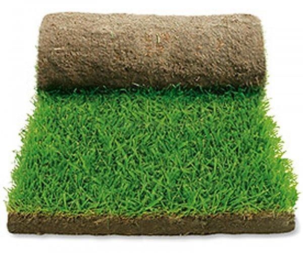 рулонний газон під ключ