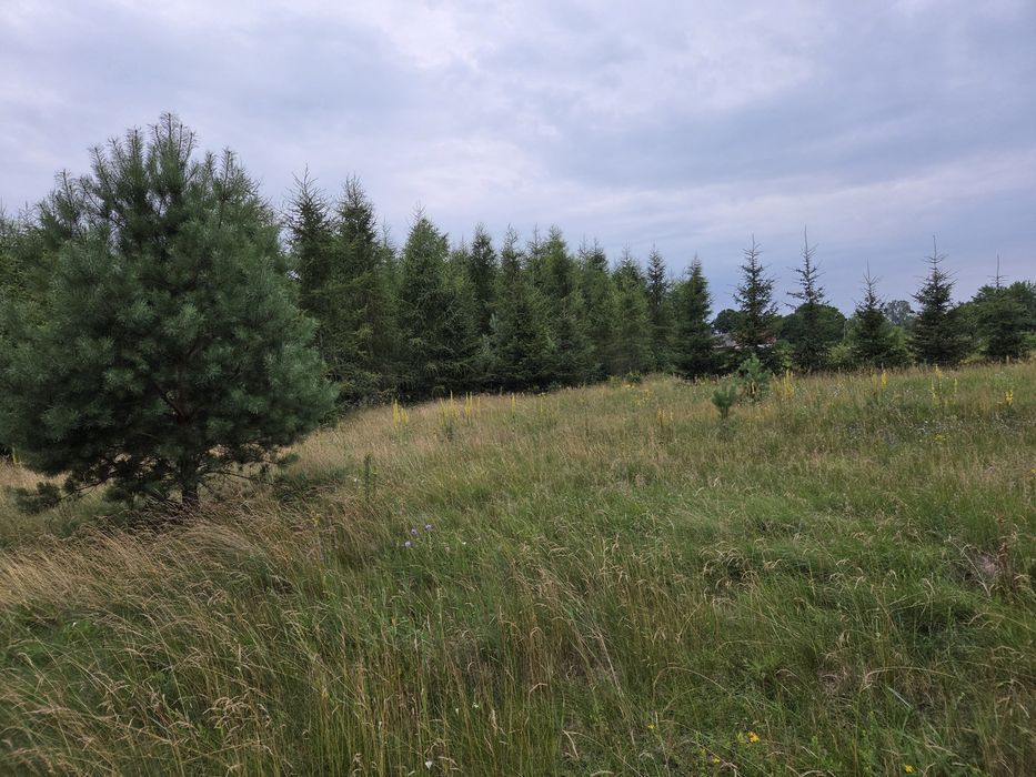Działka na Mazurach budowlana z wz Mazury