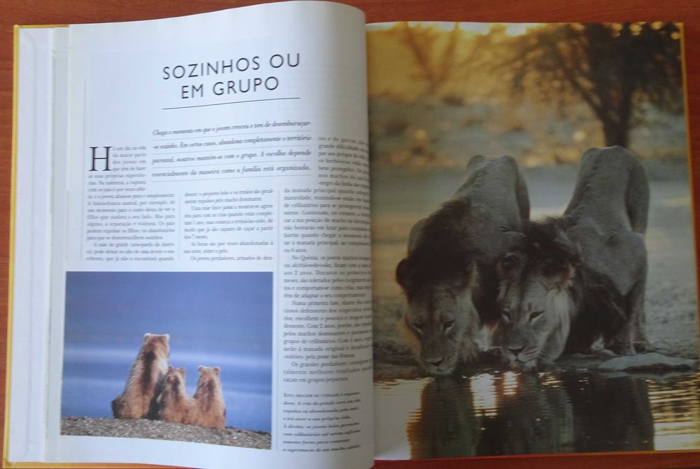 A Vida Secreta dos Animais