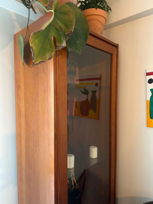 Armarios de sala com iluminação