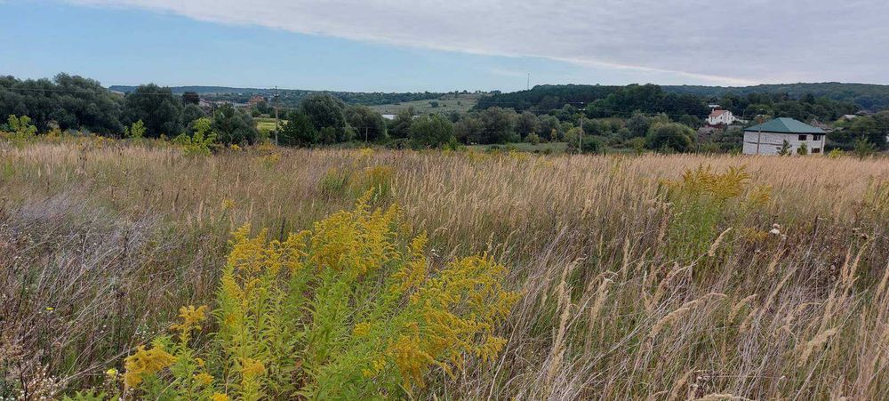 Продаж земельної ділянки під житлову забудову 15 соток с.Іванківці