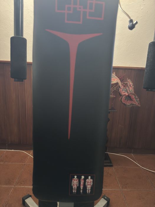 Muscle Training Machine64730003075331123