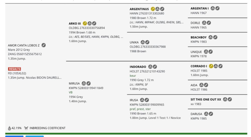 Égua com Exelente Origem de salto .