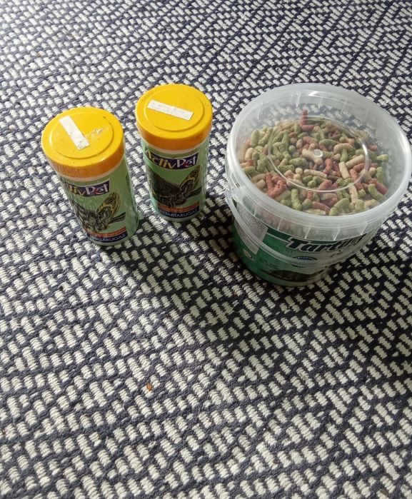 Aquário para animais