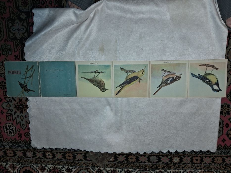 Птицы книжка-раскладка