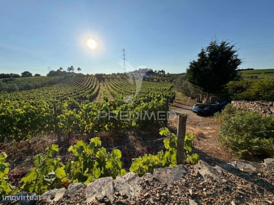 Terreno Em Canelas – Peso Da Régua