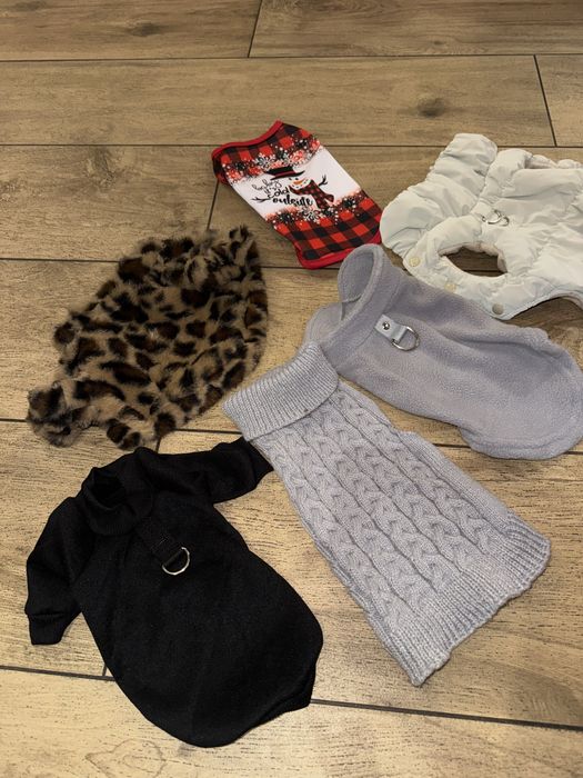 Одежда для собак