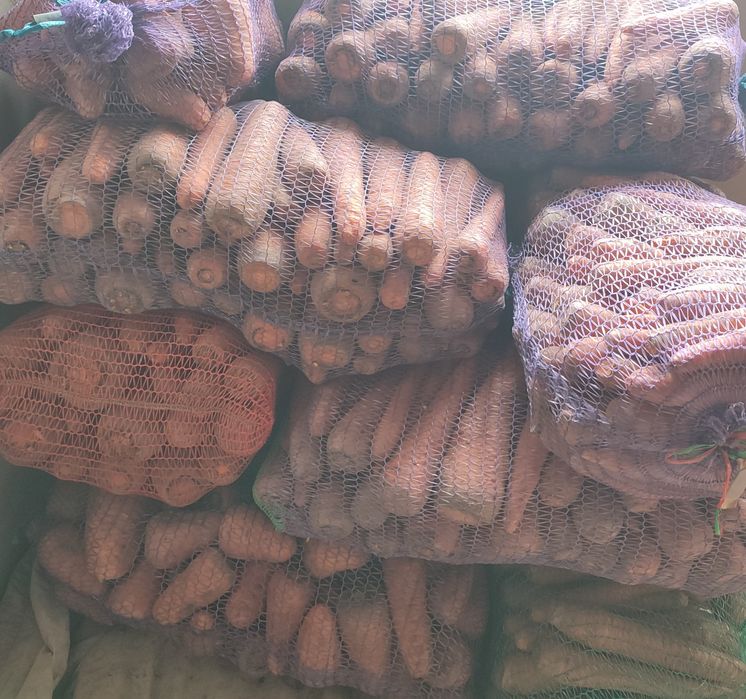 Яблука, морква домашні