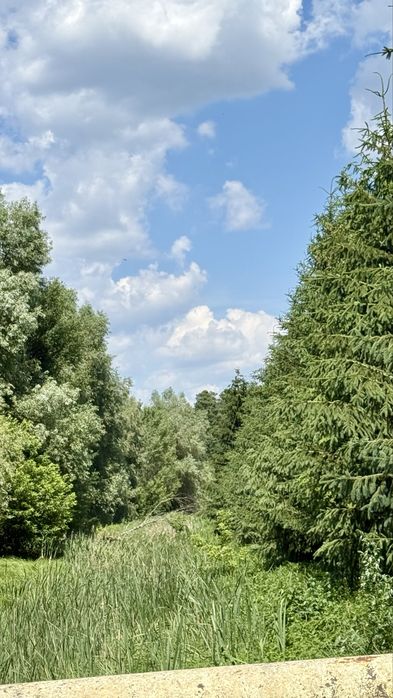 Продаж Ділянки  34,4га +14,34 га, біля  "Dreamland", с. Нові Безрадичі
