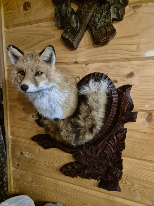 Nowy medalion lisa salon myśliwski retro
