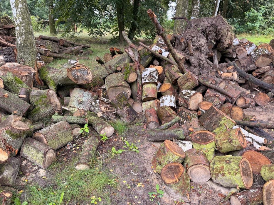 Drewno Opałowe liściaste\igalste w małych  wałkach
