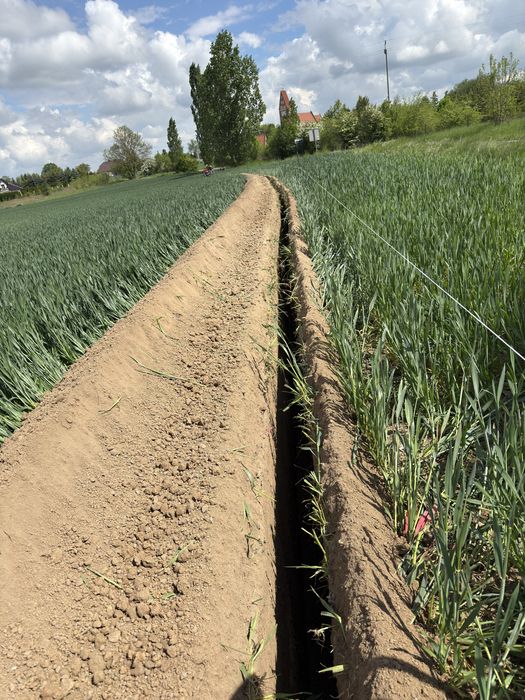 Koparka łańcuchowa wynajem & usługi, przyłącza