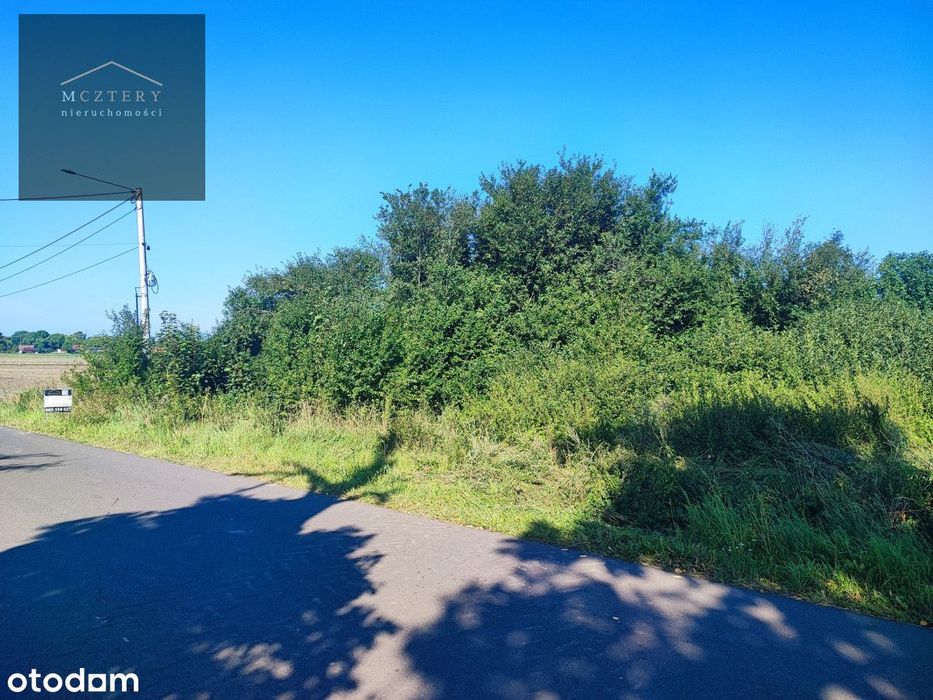 Sprzedam dużą działkę pod siedlisko lub dom/3998 m² - Widok 4