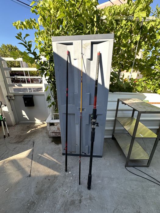 Canas de pesca, Vega, Mori