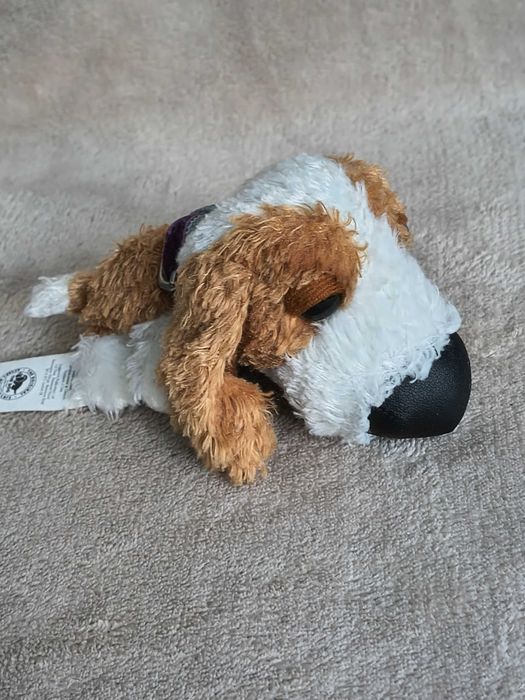 Pluszak The Dog Cavalier King Charles Spaniel