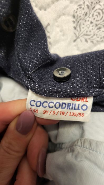 Marynarka coccodrillo 134 + koszula