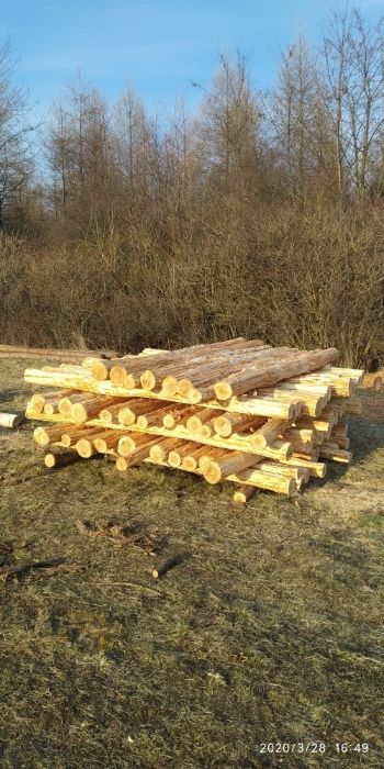 Żerdzie, słupki modrzewiowe