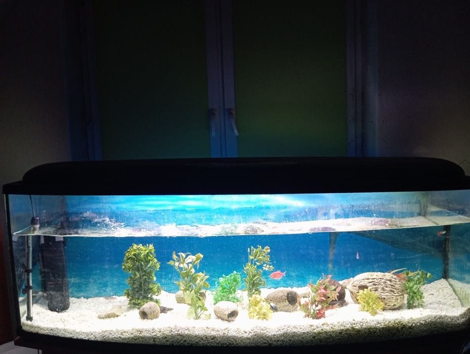 Akwarium 300l i całe wyposażenie