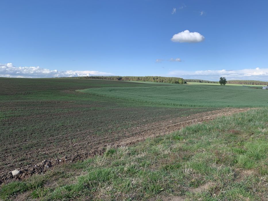 Dzialki budowlane /  wydane warunki zabudowy /
