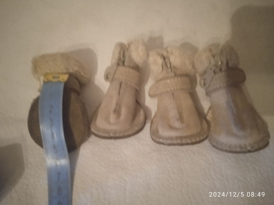 Речі для маленької собачки