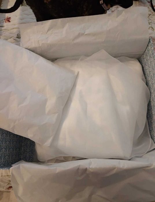 Vestido e Véu de Noiva – Verónica Cristóvão Atelier