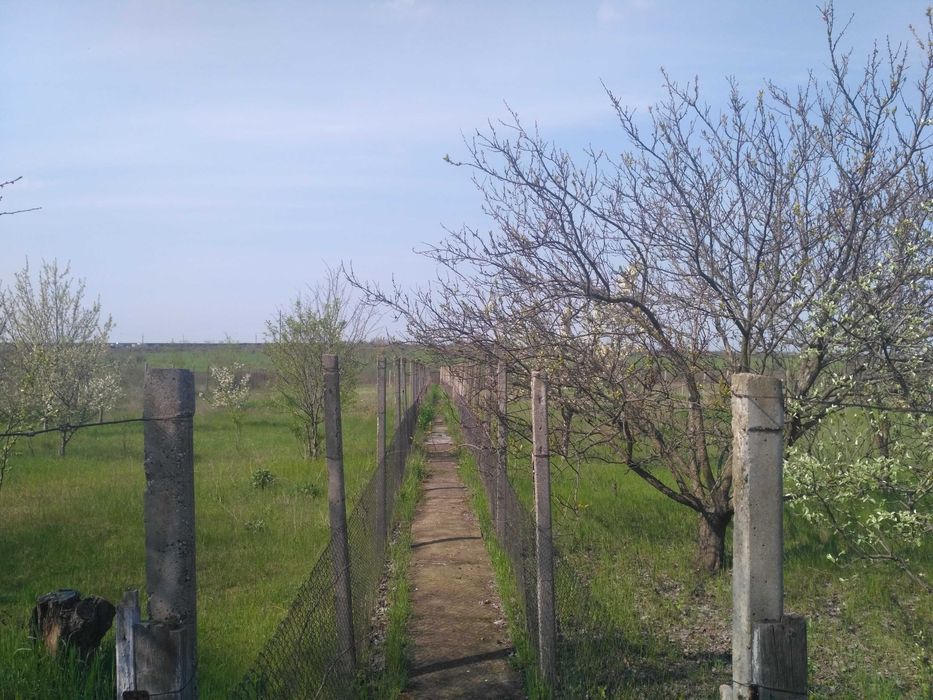 Дом меньше 1 км от города с участком 23 сотки