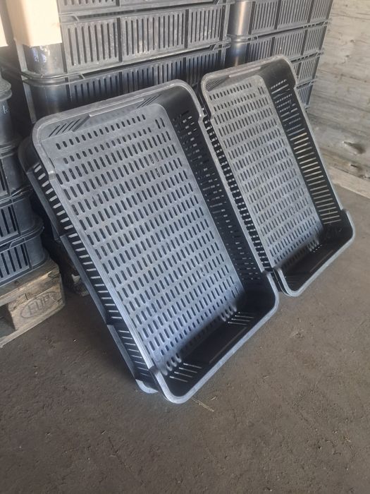 Skrzynki czeszki 10kg