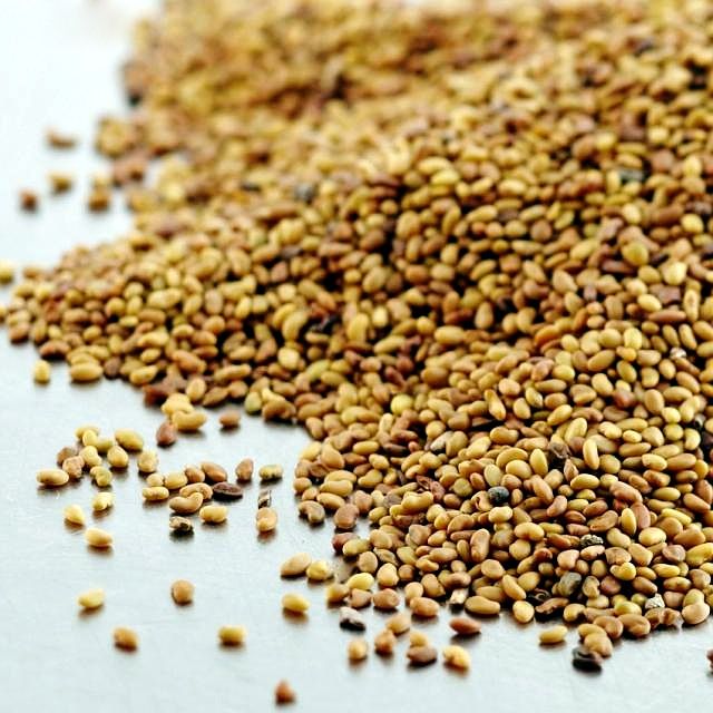 ЗЕРНА СЕМЕНА. Набори для мікрозелені EasyGreen брокколи овёс пшеница