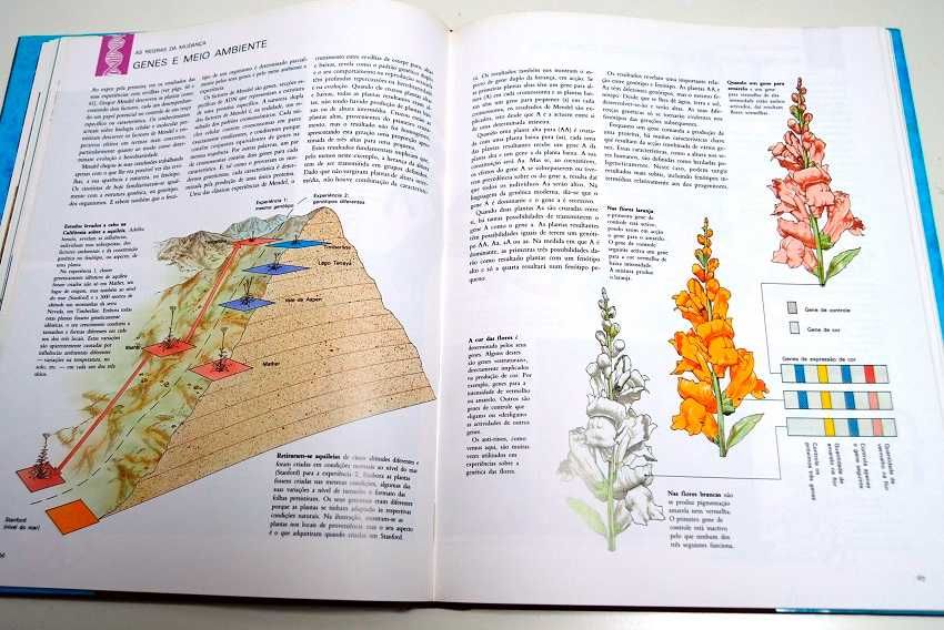 História Natural da Evolução