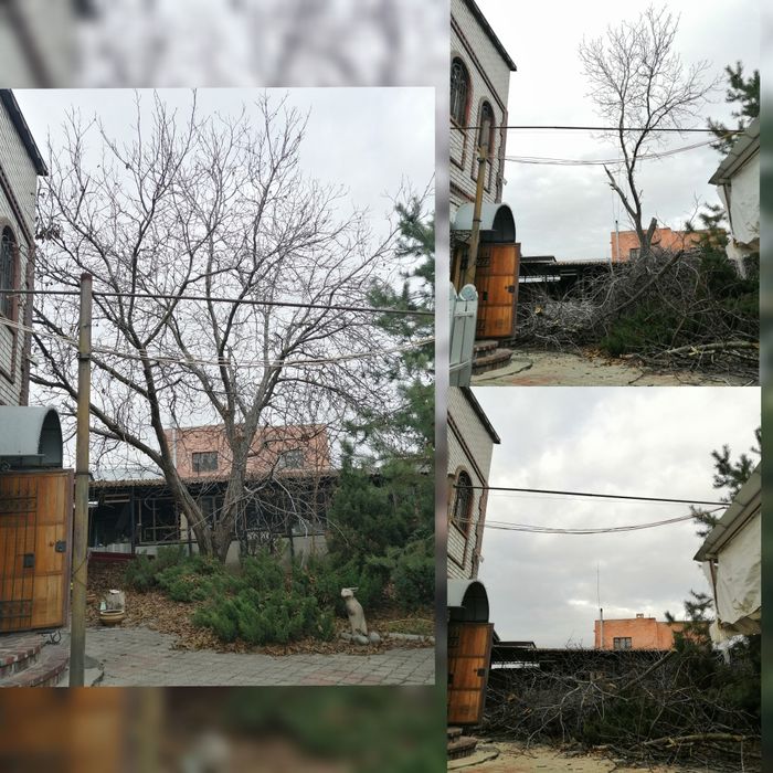 СПИЛЮдеревьяОБРЕЗКАветок/садаРАСПИ. Донецаяобл.