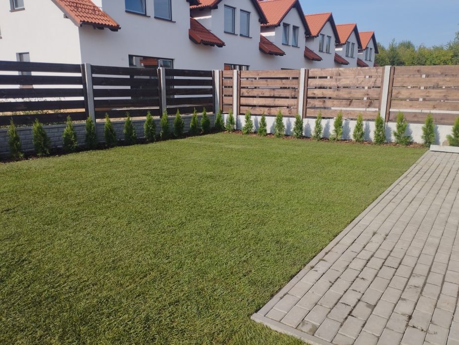 Trawa ogrodowa/Producent trawy z rolki